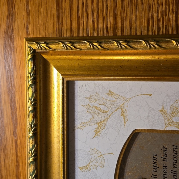 Isaiah 40:31 Gold Frame - Picture 4 of 14